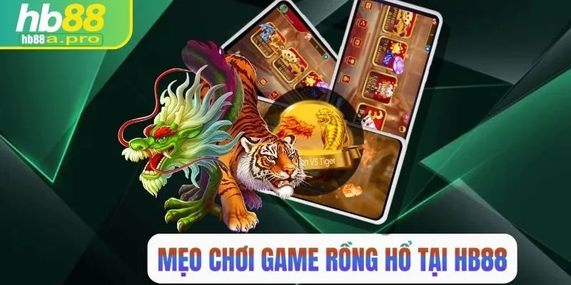 Tổng hợp những mẹo chơi rồng hổ HB88 hiệu quả